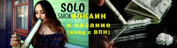 шишки Белоозёрский