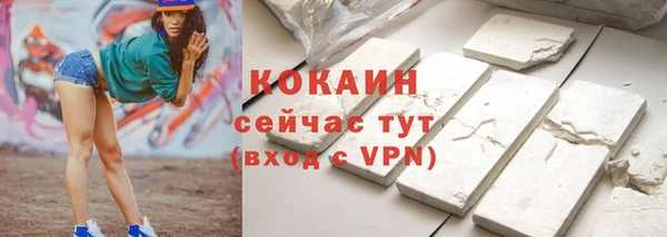 шишки Белоозёрский
