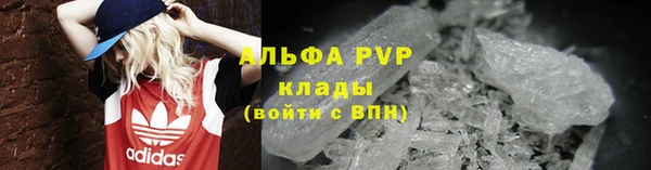 шишки Белоозёрский