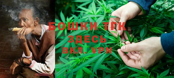 шишки Белоозёрский
