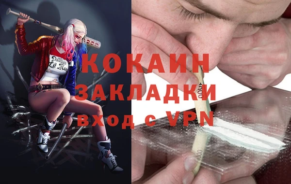 шишки Белоозёрский