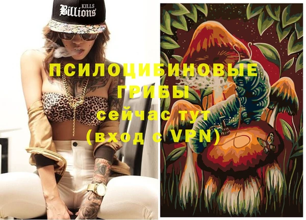 шишки Белоозёрский