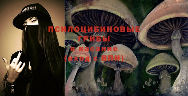 шишки Белоозёрский