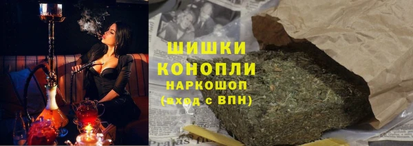 шишки Белоозёрский